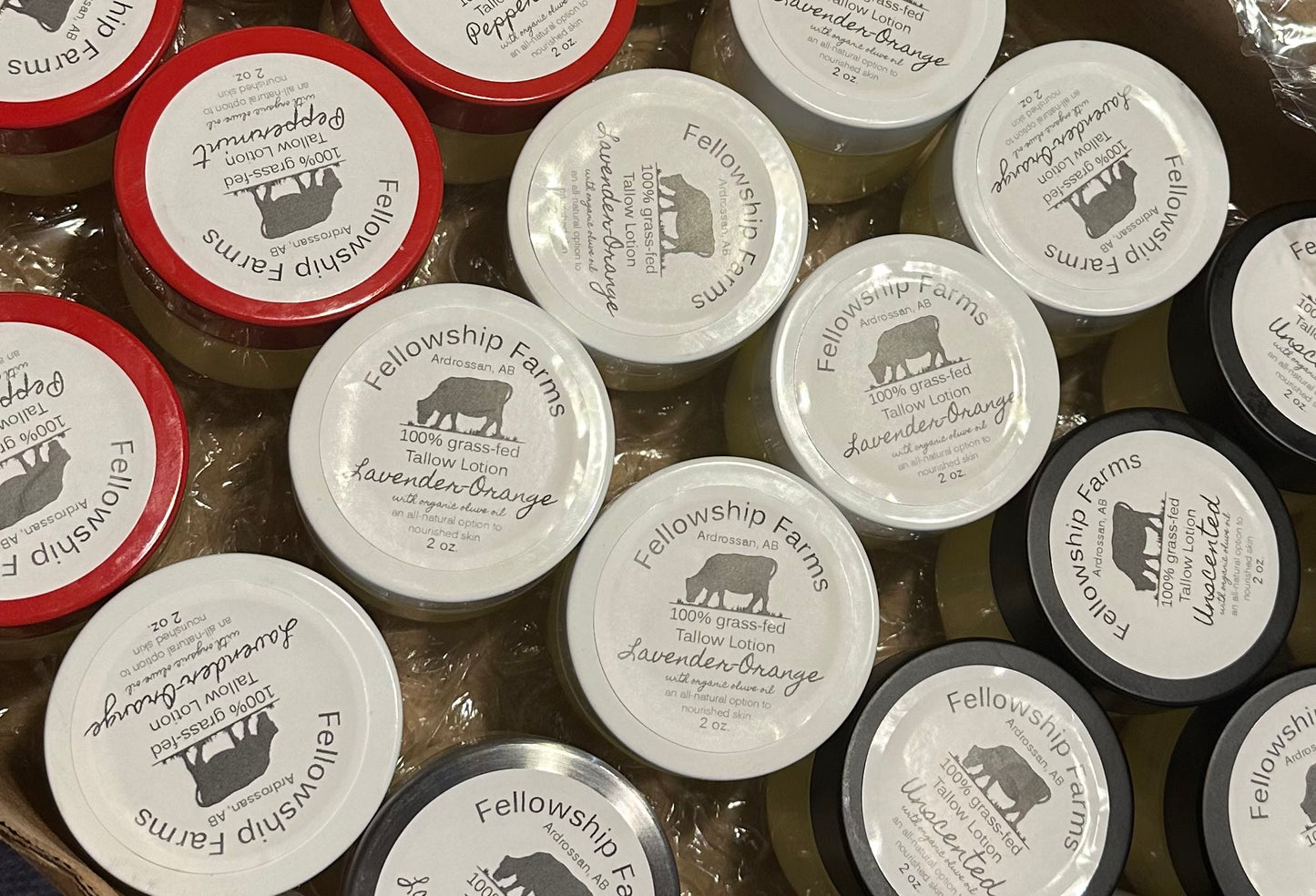 Whipped Tallow Lotion